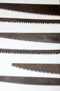 antique hand-saw collection