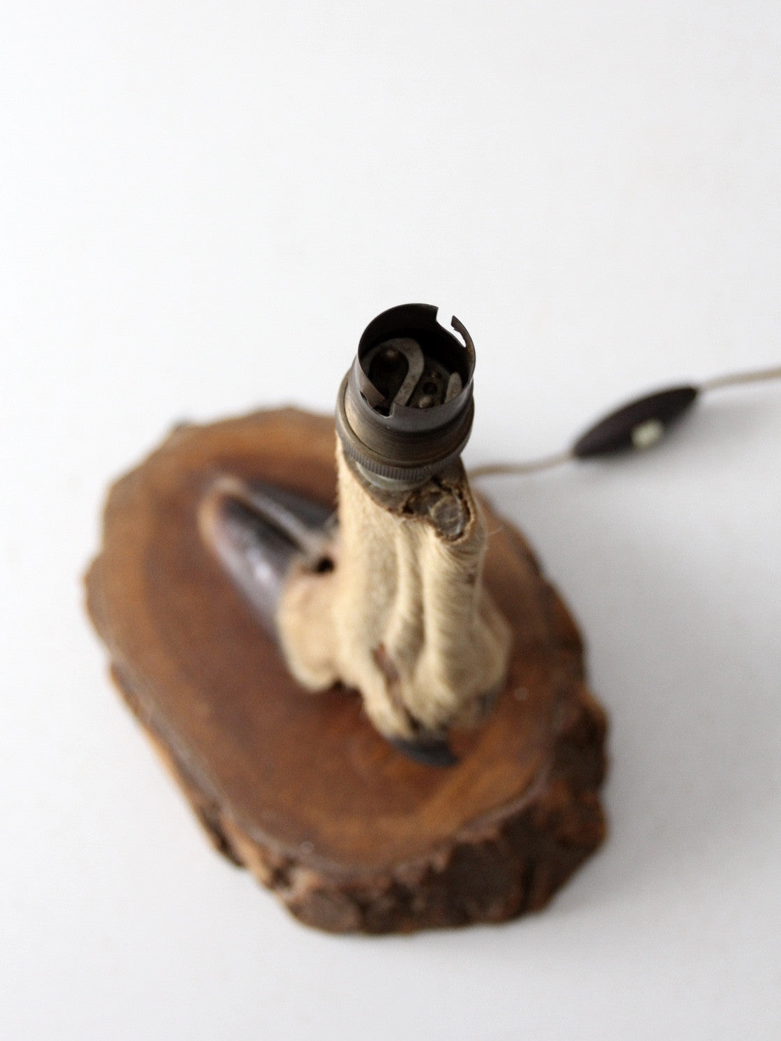 vintage European mounted deer hoof table lamp