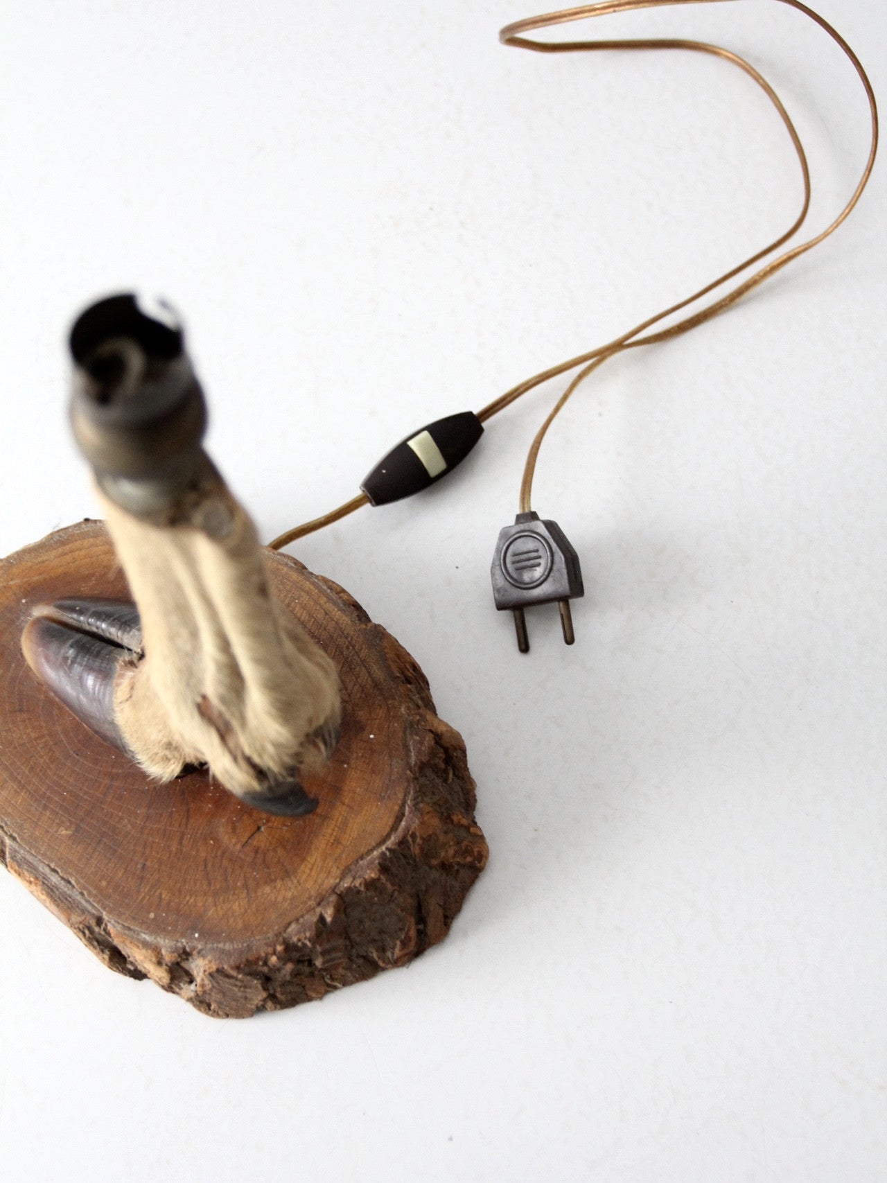 vintage European mounted deer hoof table lamp