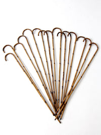 antique bamboo cane collection