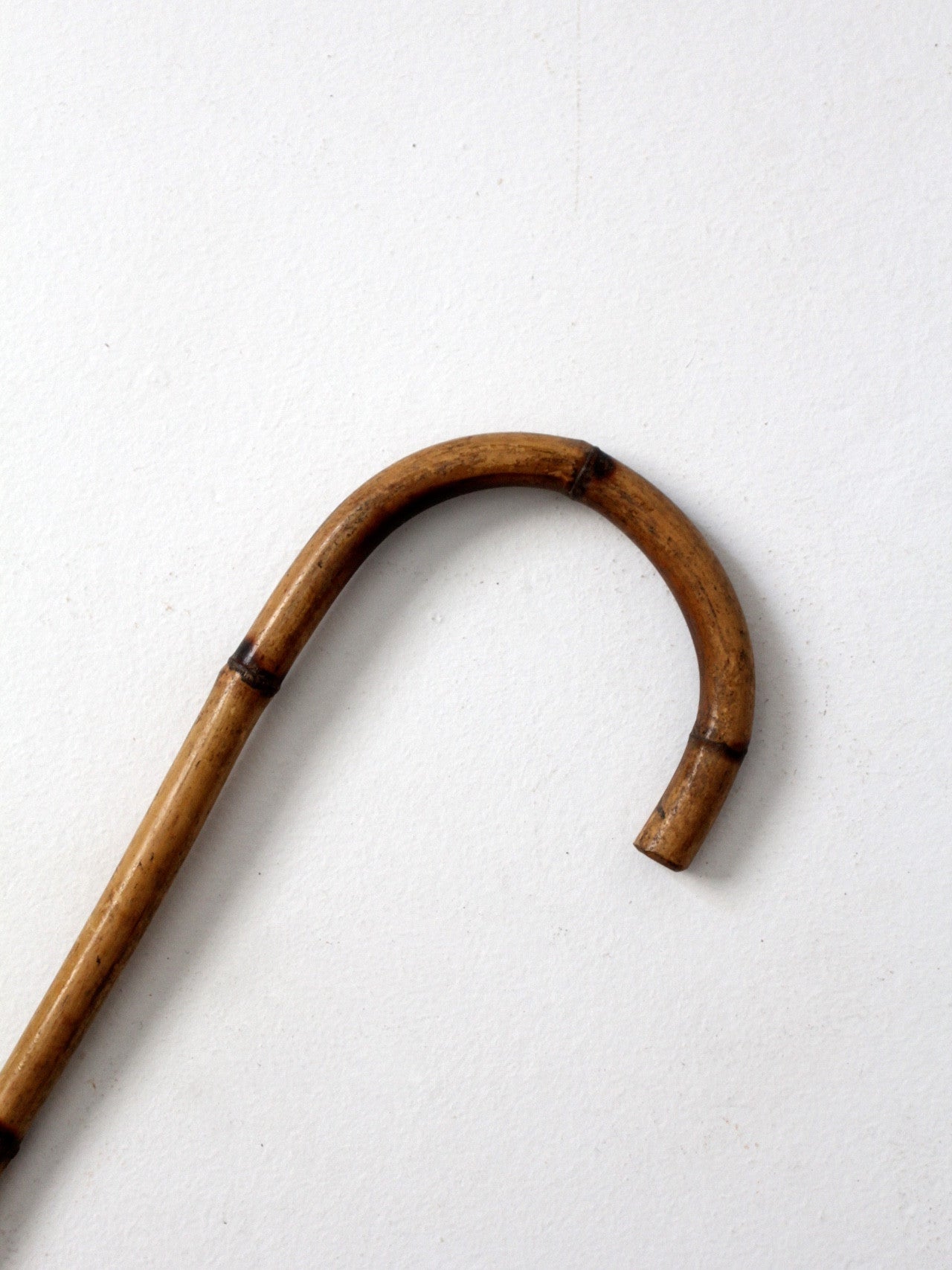 antique bamboo cane collection