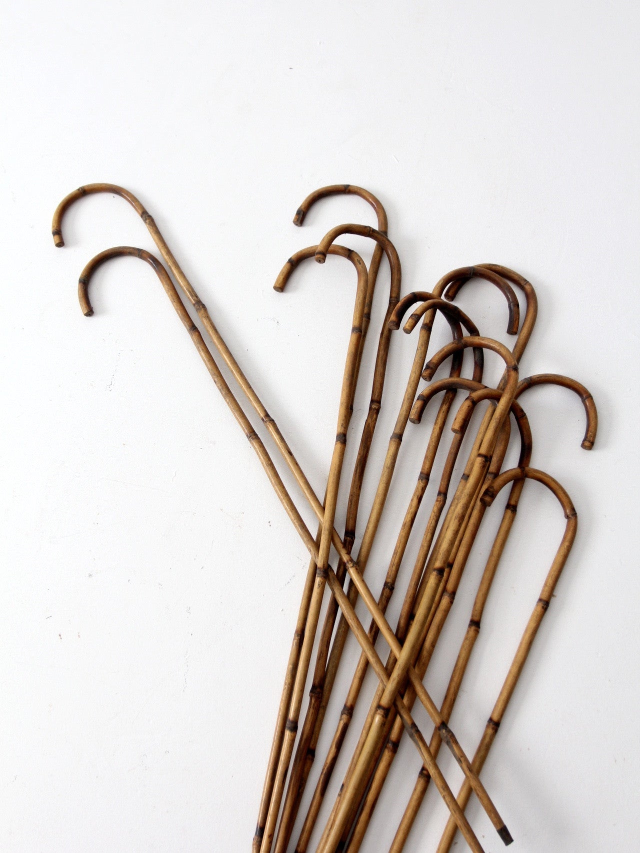 antique bamboo cane collection