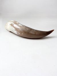 vintage large polished horn