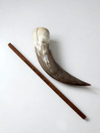 vintage large polished horn