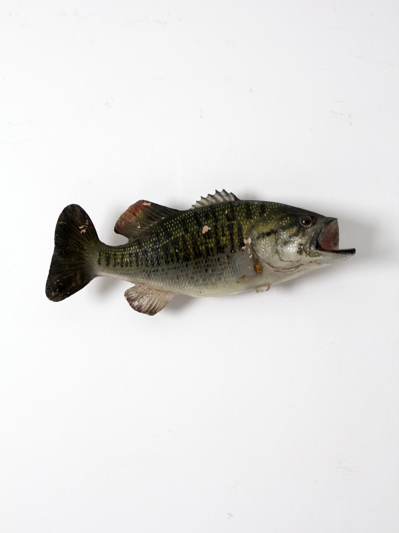 vintage bass fish taxidermy mount