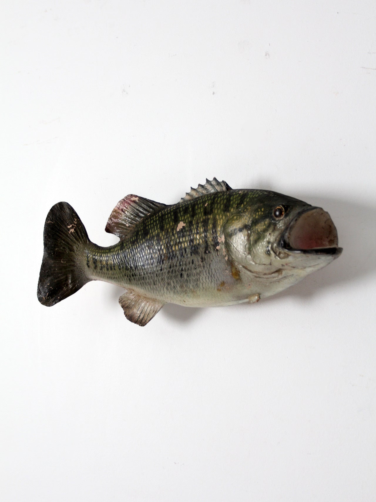 vintage bass fish taxidermy mount