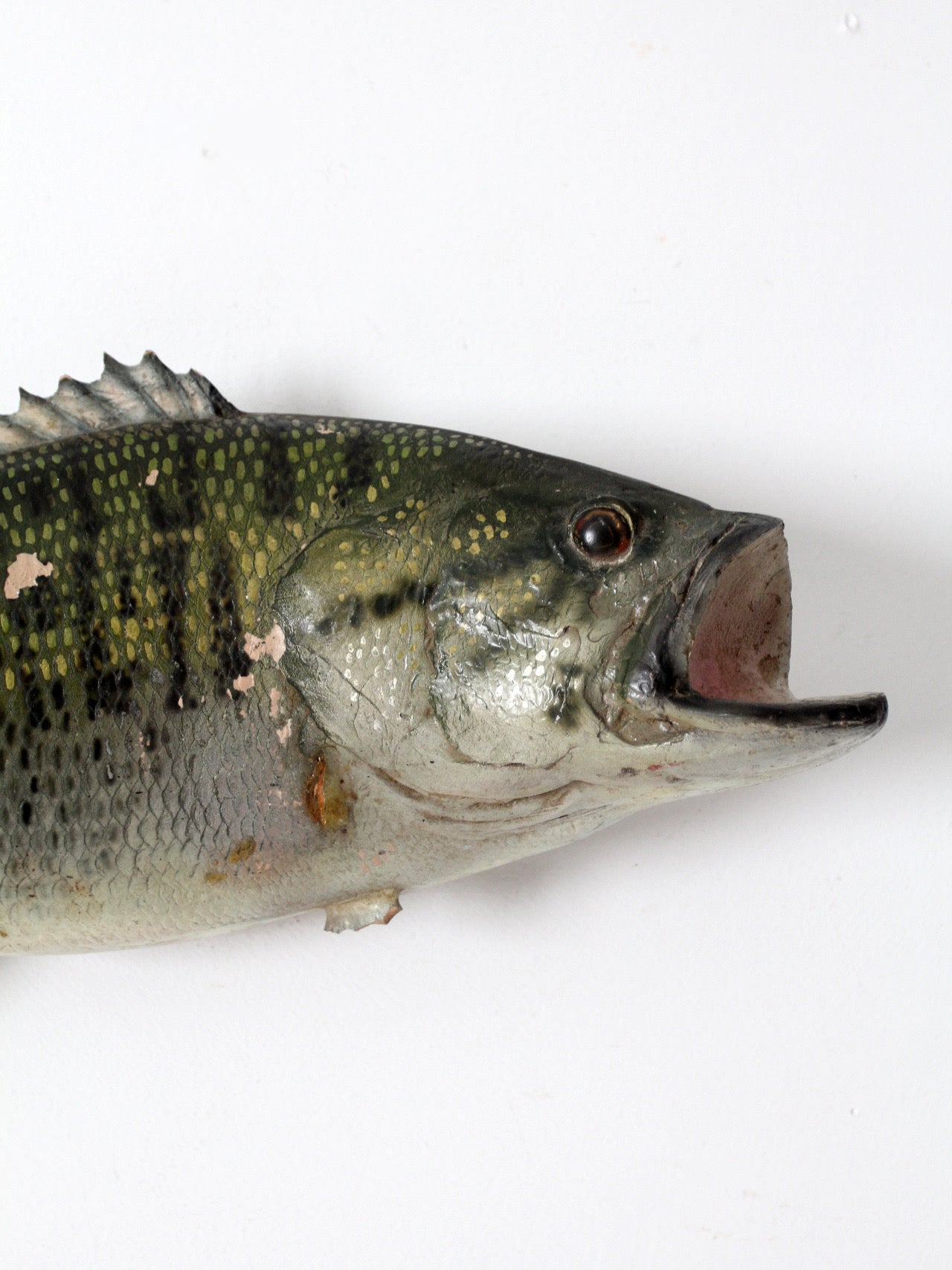vintage bass fish taxidermy mount