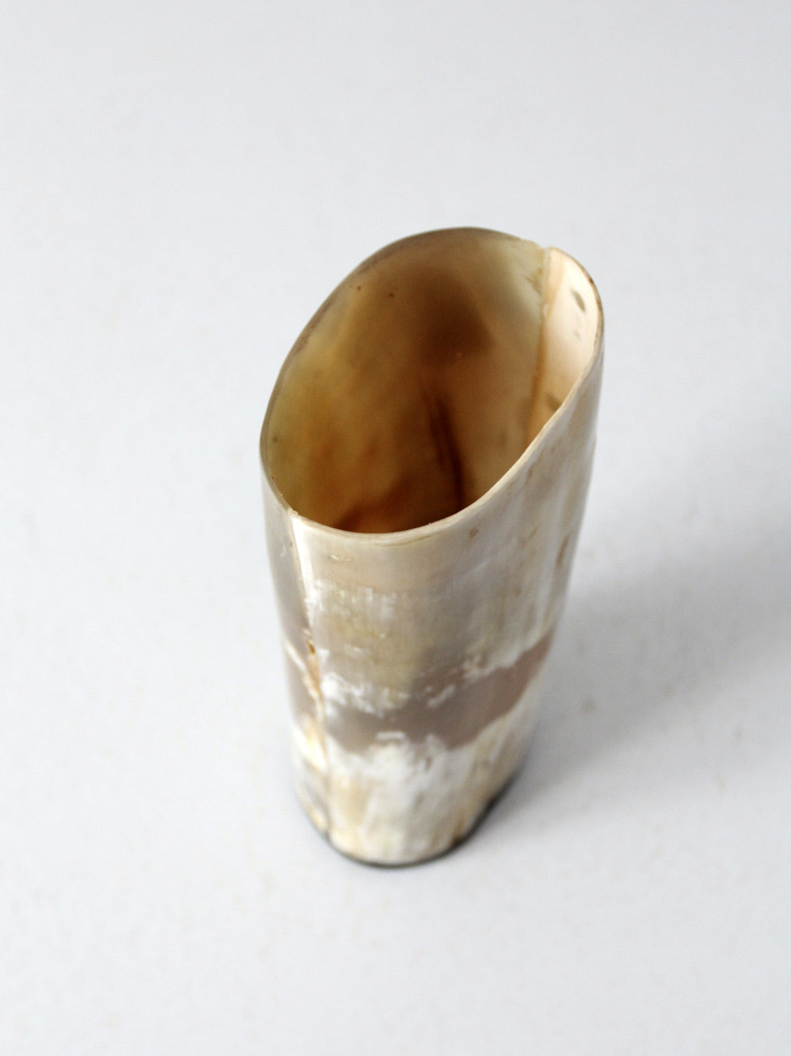 vintage cow horn vase