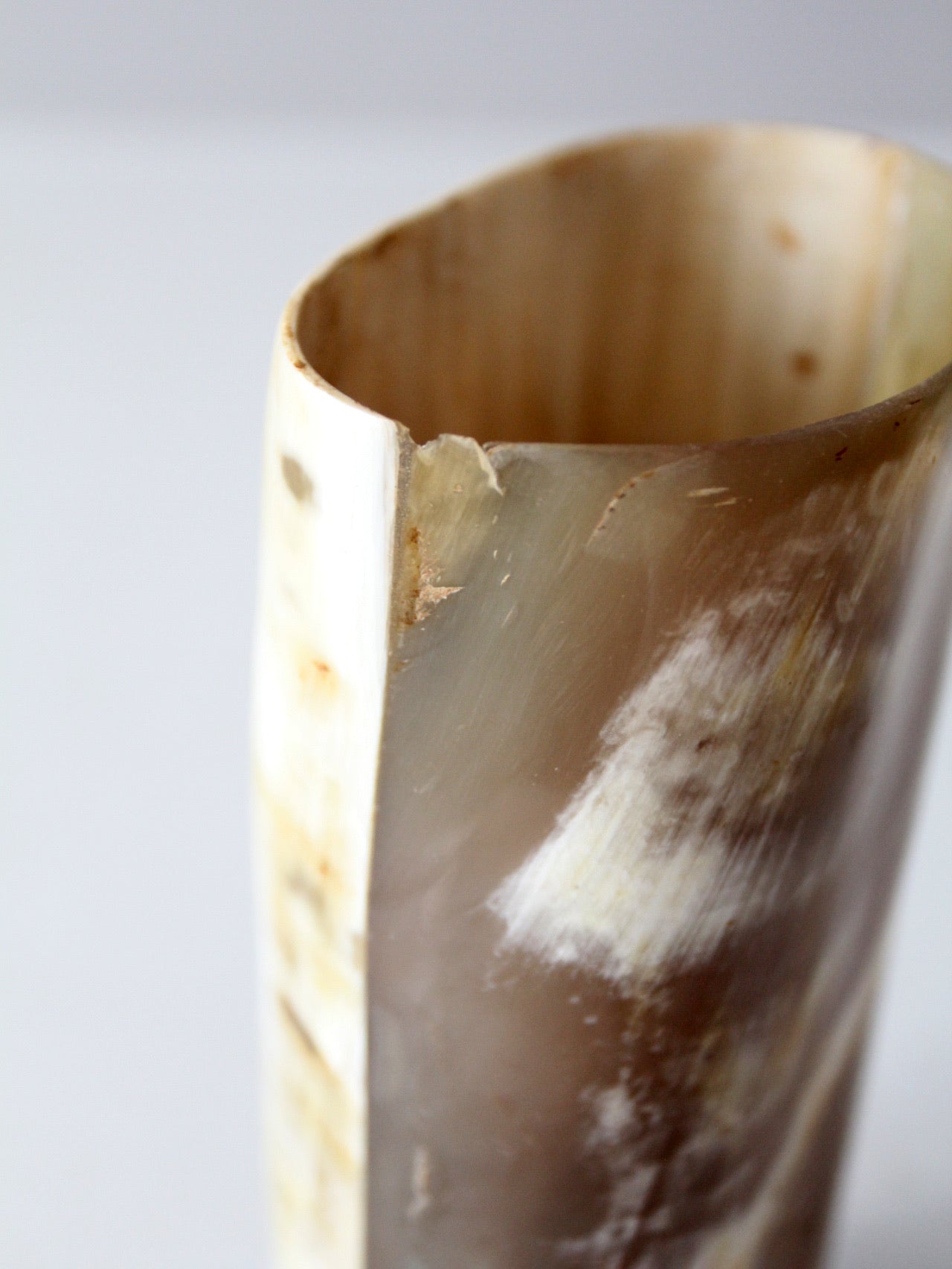 vintage cow horn vase