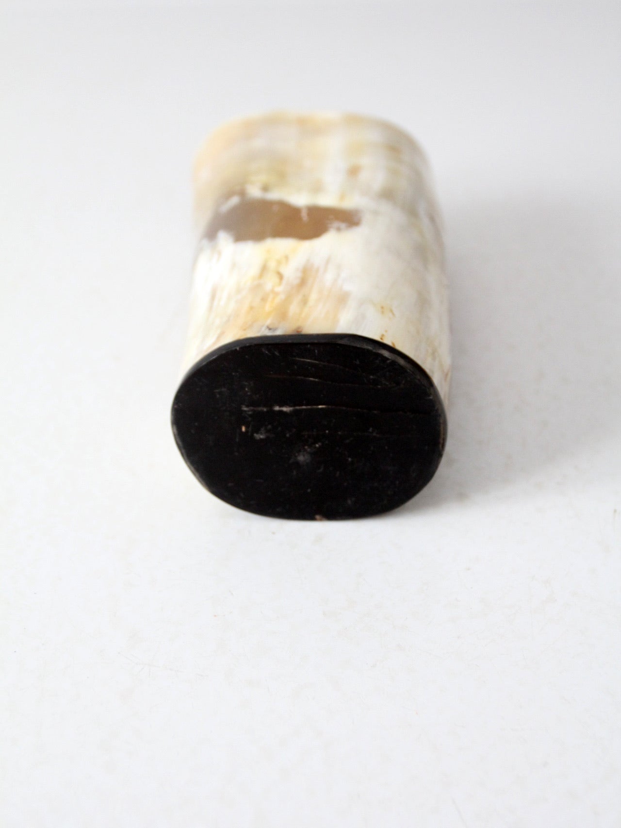 vintage cow horn vase