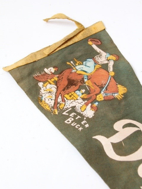 vintage western Texas pendant