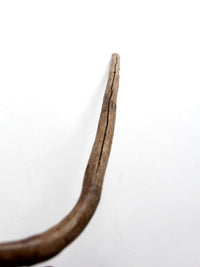 antique wooden cane