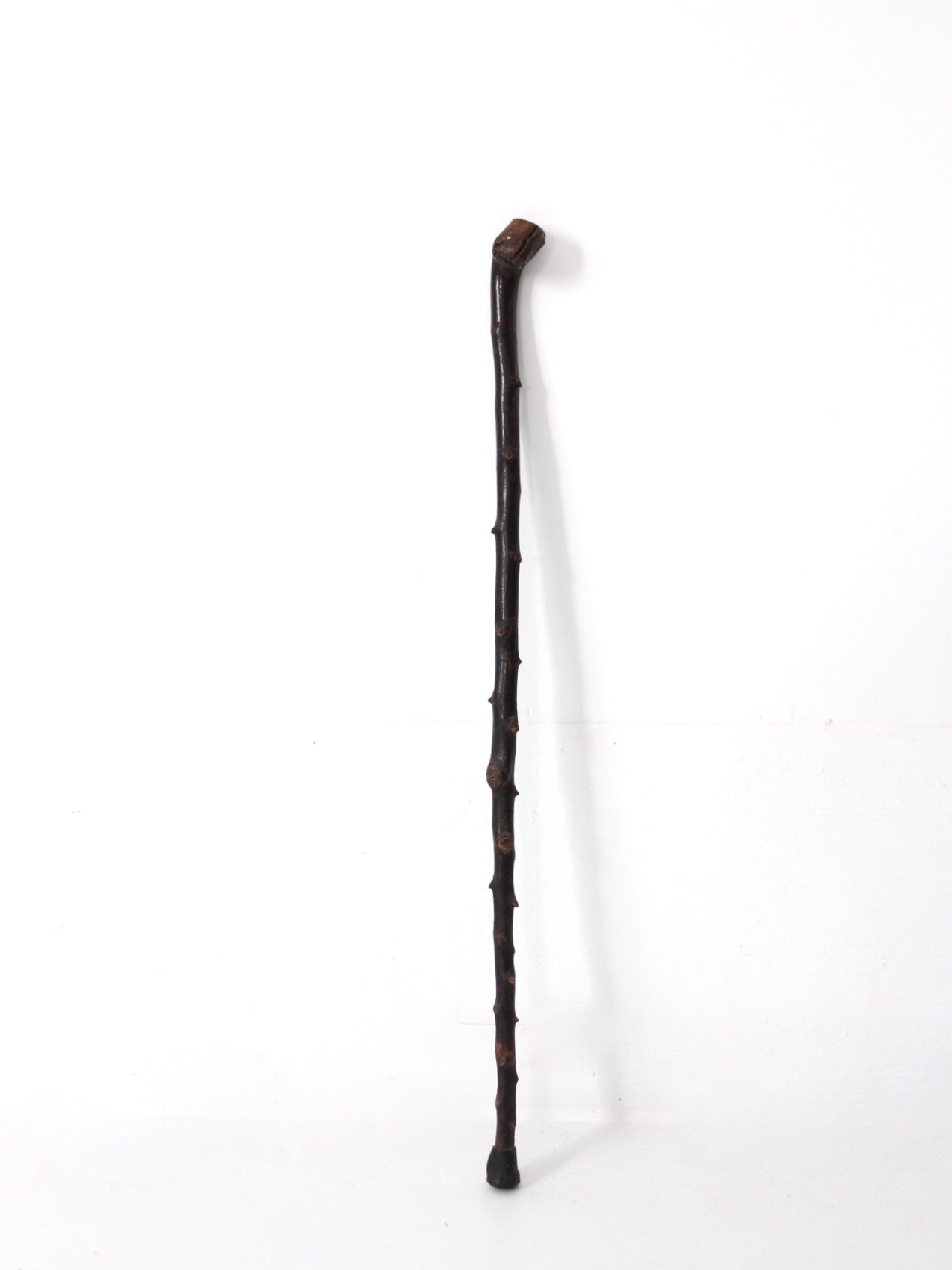 antique burl wood cane