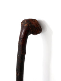 antique burl wood cane