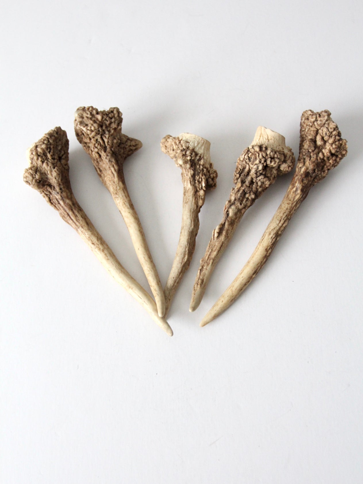 vintage deer antler point collection