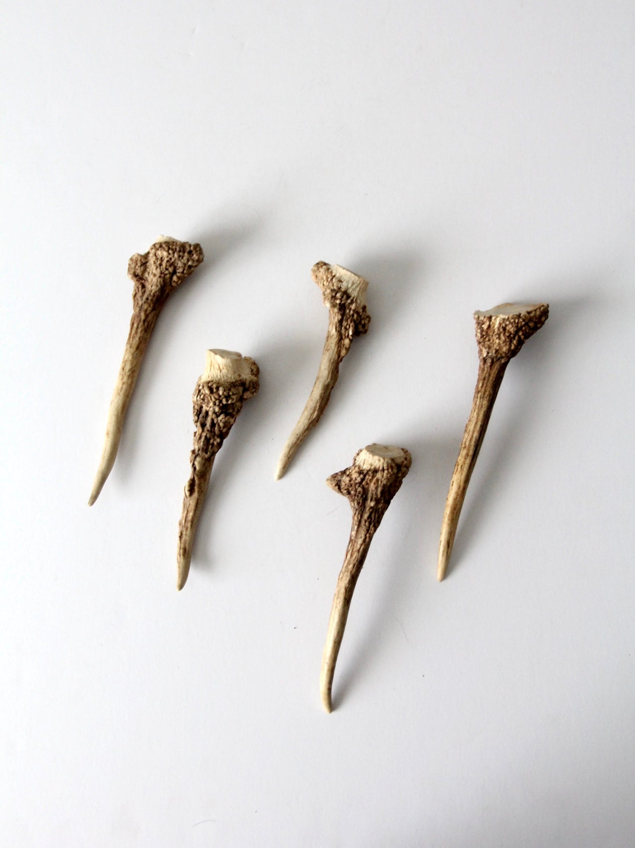 vintage deer antler point collection