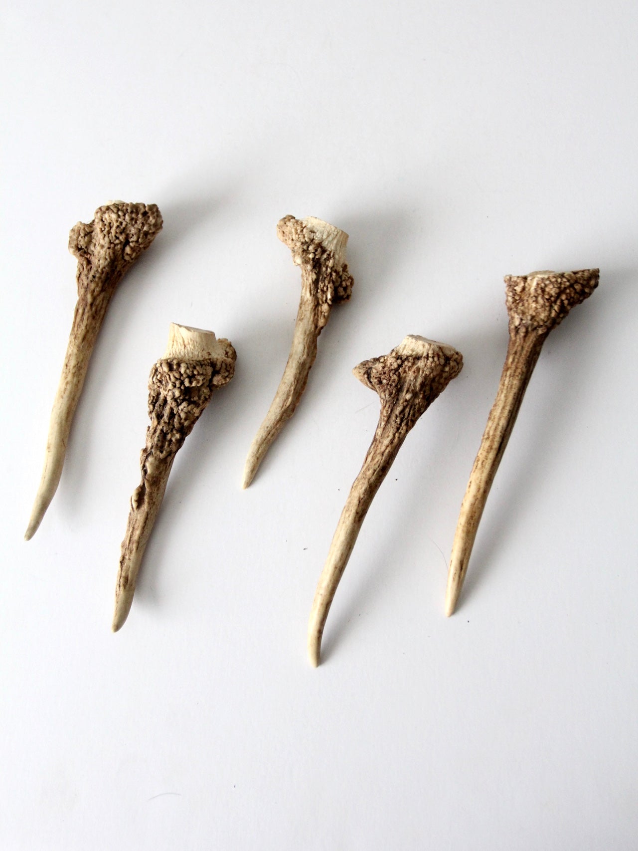 vintage deer antler point collection