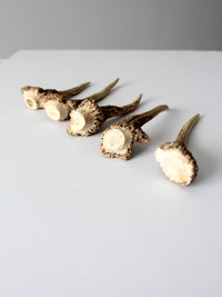 vintage deer antler point collection