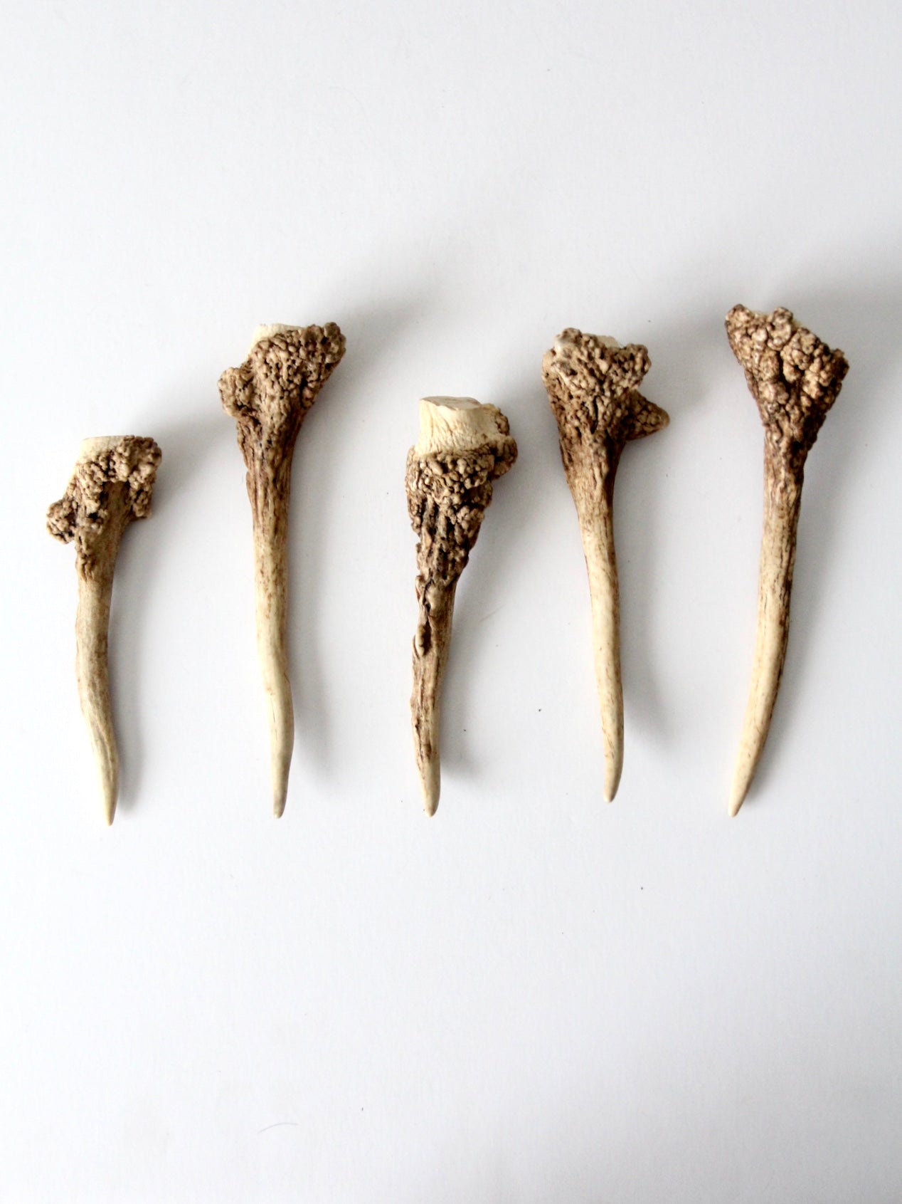 vintage deer antler point collection