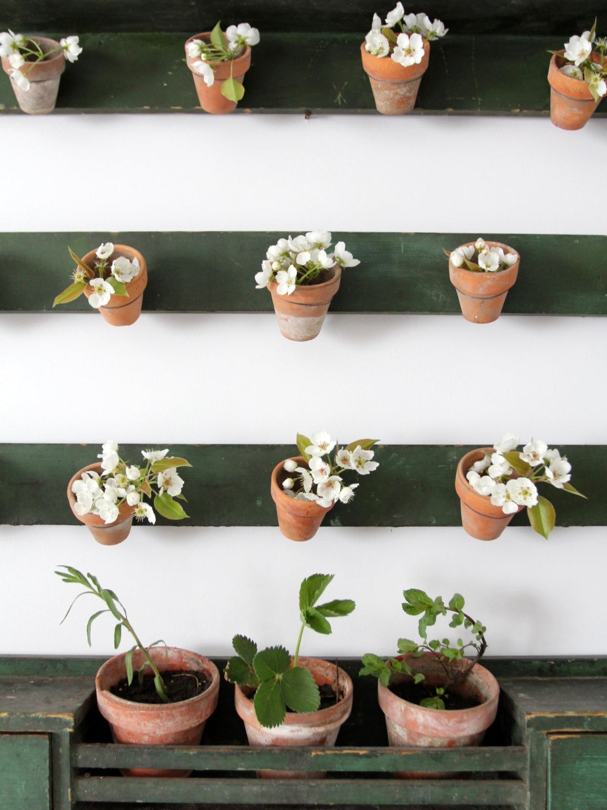 The Garden Collection
