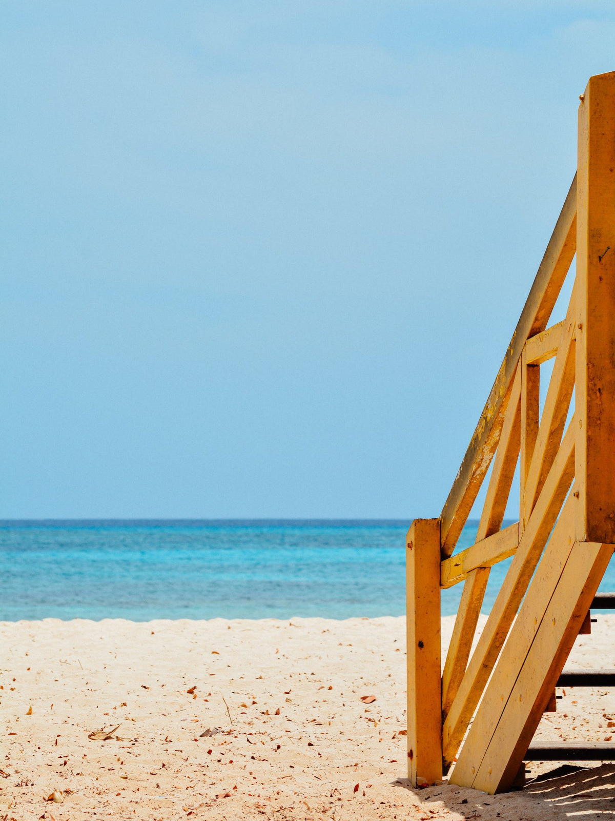 Summer at the Beach
