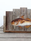 vintage rustic folk art painted fish sign