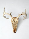 vintage deer skull with antlers