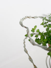 vintage wrought iron plant stand