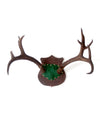 antique mounted antlers