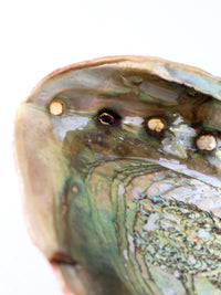mid century abalone shell footed bowl