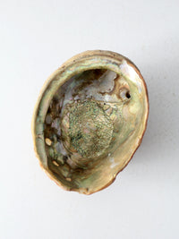 mid century abalone shell footed bowl