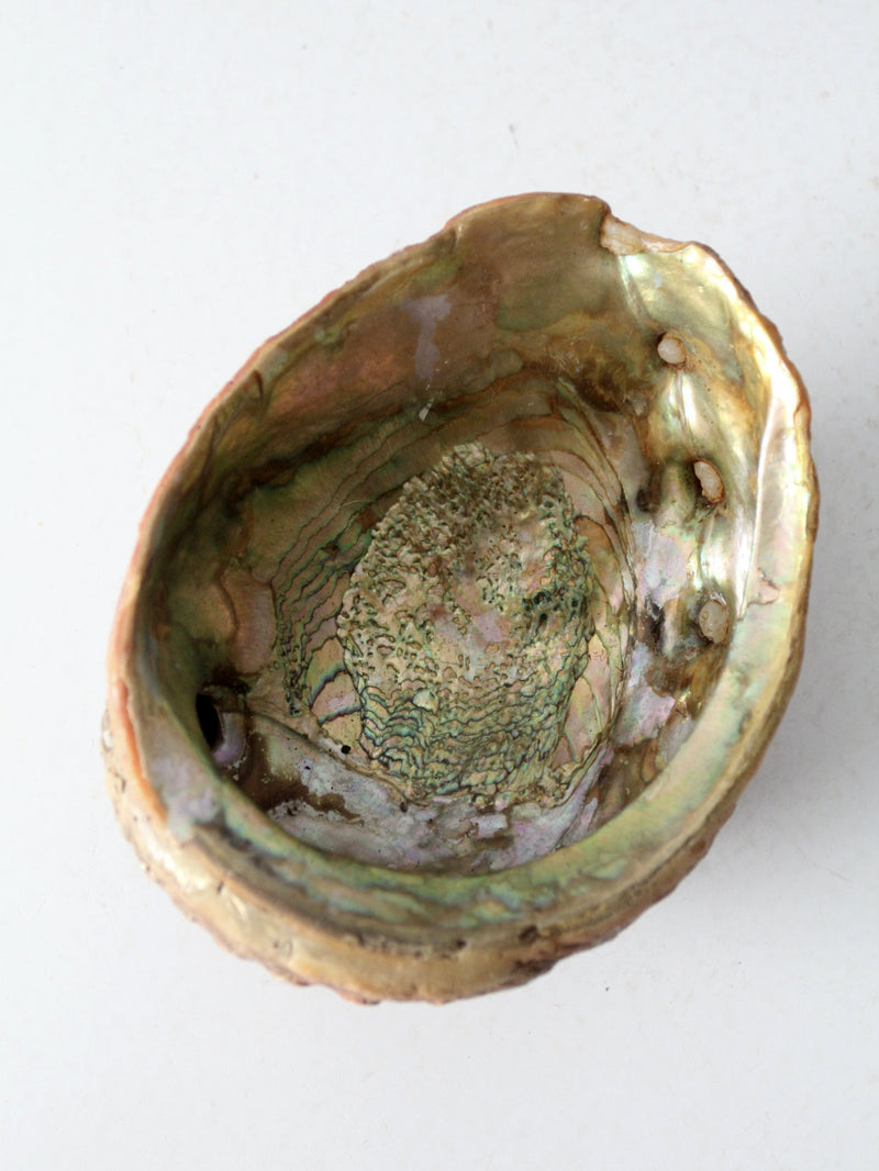 mid century abalone shell footed bowl