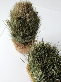 vintage decorative dried grass topiaries pair