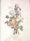 vintage framed botanical prints by JL Prevost Set