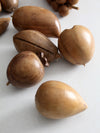 mid-century monkey pod fruit set