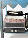 vintage accordion collection