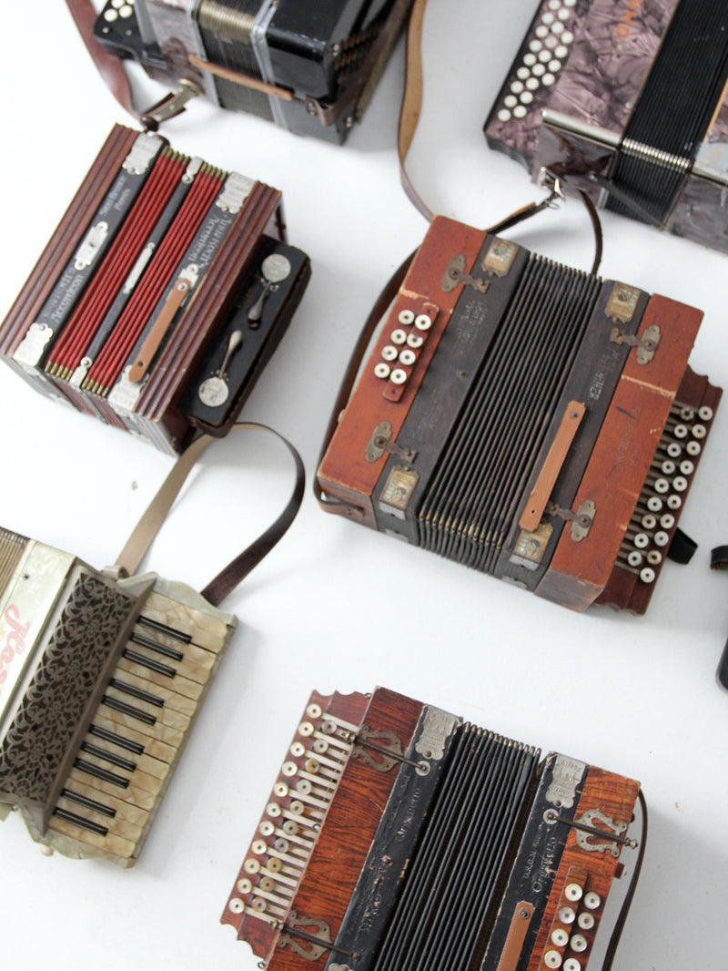 vintage accordion collection