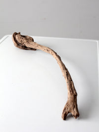 natural driftwood display sculpture