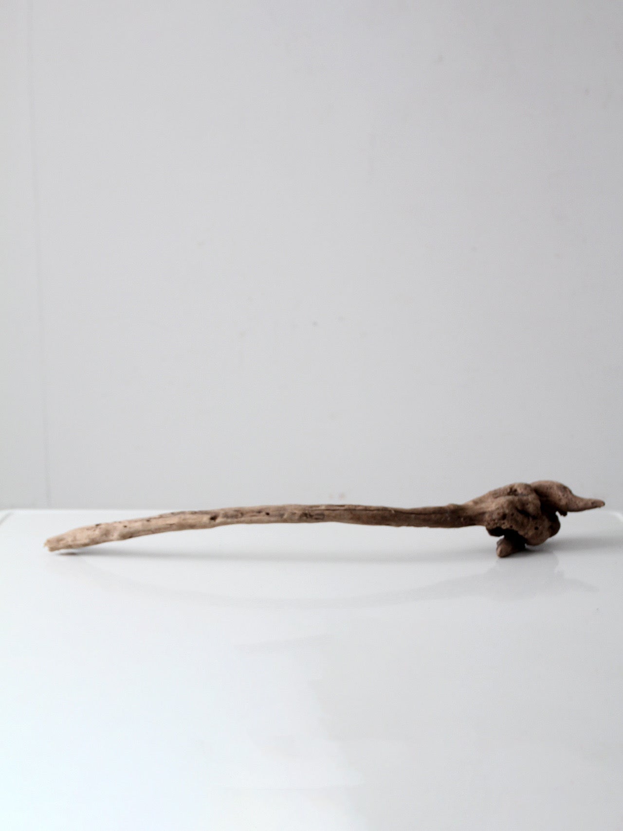 natural driftwood display sculpture