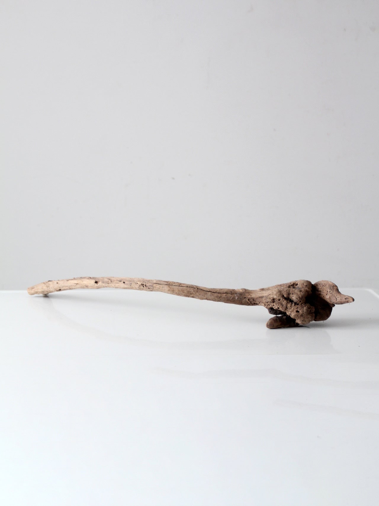 natural driftwood display sculpture