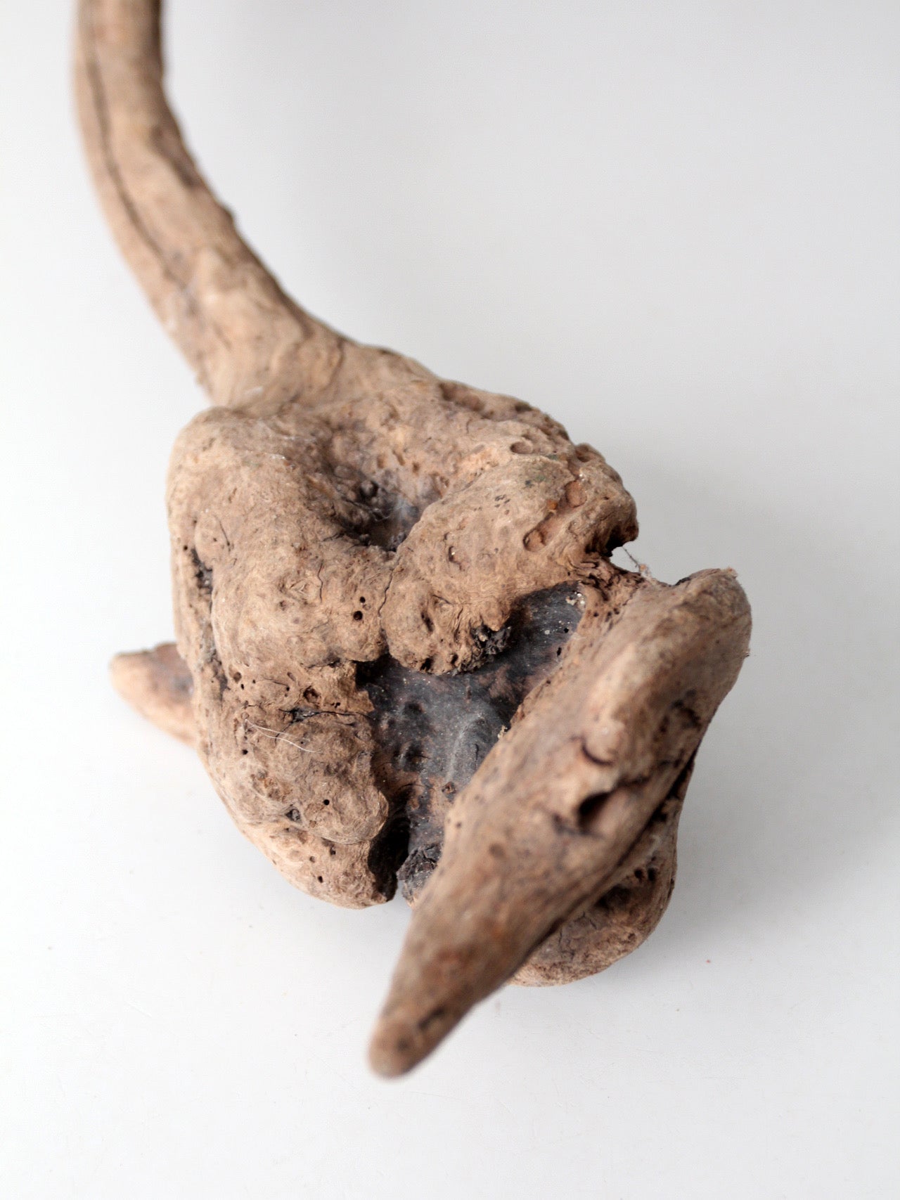 natural driftwood display sculpture