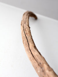 natural driftwood display sculpture