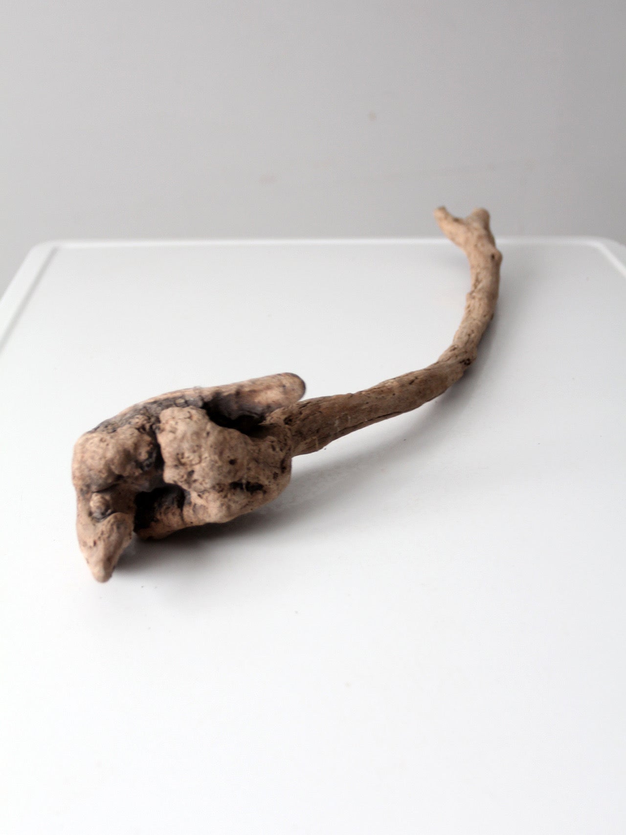 natural driftwood display sculpture