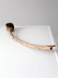 natural driftwood display sculpture