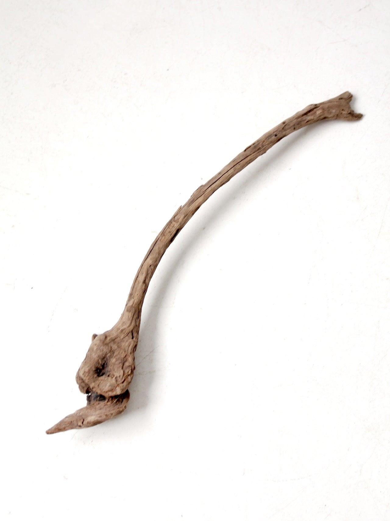 natural driftwood display sculpture