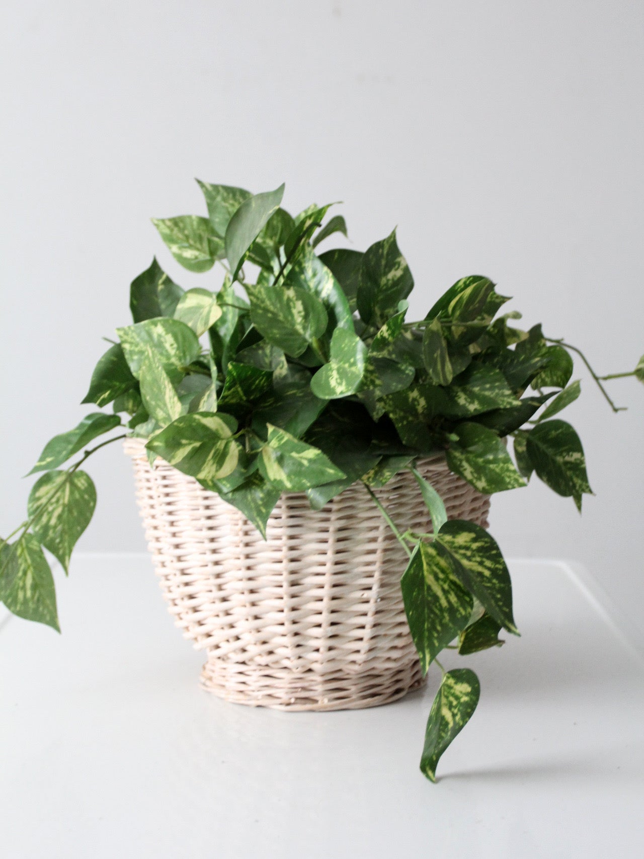 vintage cream wicker basket