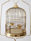 vintage brass bird cage with stand