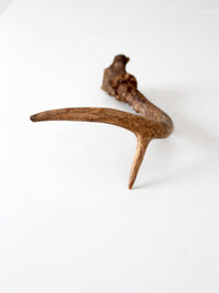 vintage natural deer antler