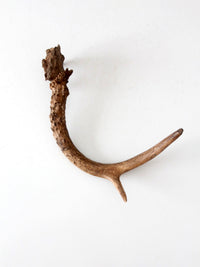 vintage natural deer antler