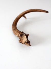 vintage natural deer antler
